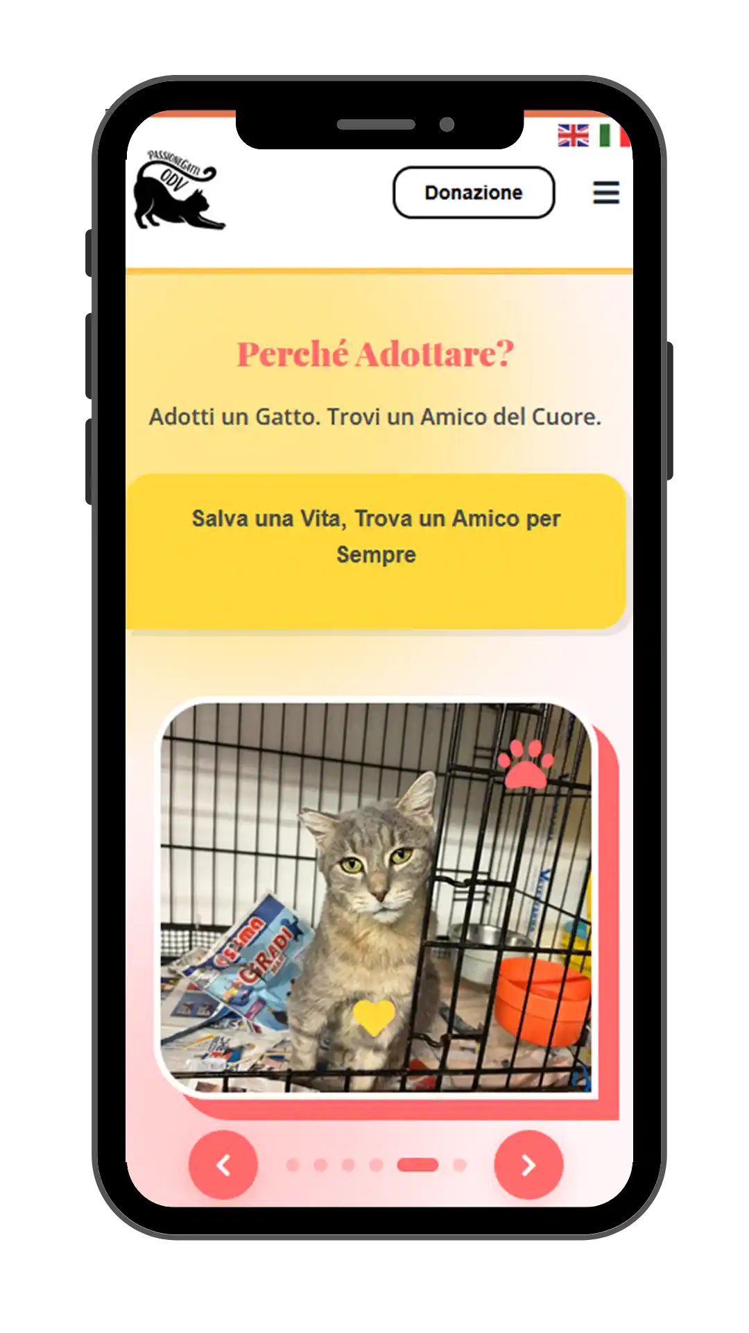 Aperçu mobile Passione Gatti ODV